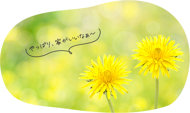 やっぱり、家がいいなぁ～