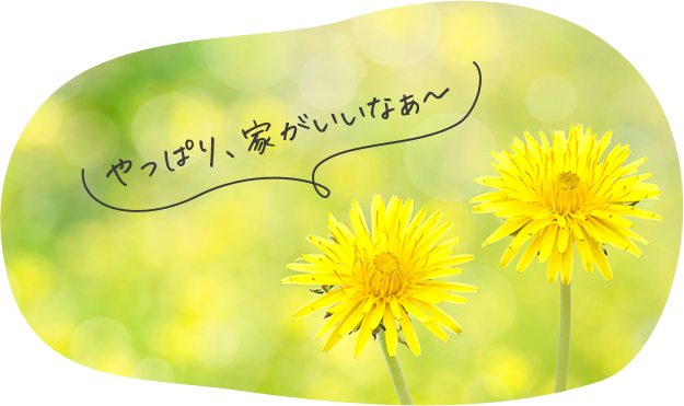 やっぱり、家がいいなぁ～